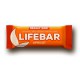 Lifebar Meruňková BIO 47 g Lifefood Lifefood