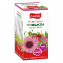 Bylinný sirup ECHINACEA s rakytníkem 250g APOTHEKE