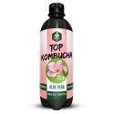 Kombucha Aloe vera 500 ml TOPNATUR