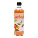 Kombucha bílý čaj s příchutí broskve BIO 500 ml STEVIKOM