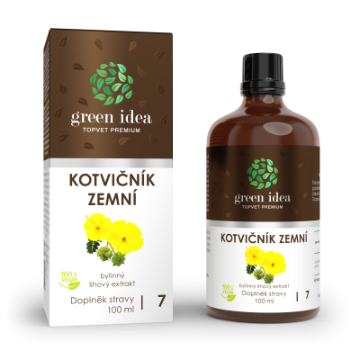 GREEN IDEA Kotvičník zemní 100ml