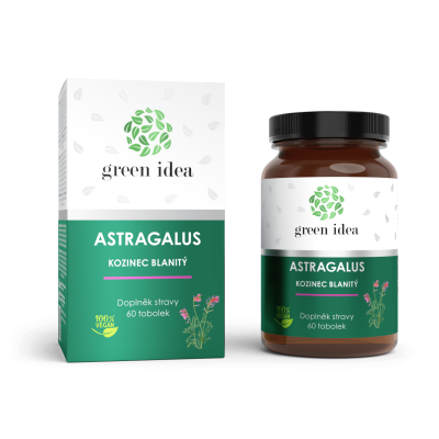 ASTRAGALUS 60 tbl. Topvet GREEN IDEA
