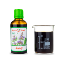 ŠALVĚJ BIO - bylinné kapky - tinktura 50 ml BYLINNÉ KAPKY