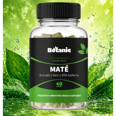 MATÉ - extrakt z listů s 20 % kofeinu 40 kps. BOTANIC