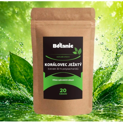 KORÁLOVEC JEŽATÝ - Extrakt 30 % polysacharidů v prášku...