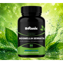 BOSWELLIA SERRATA - Extrakt z pryskyřice s 70% kyseliny...