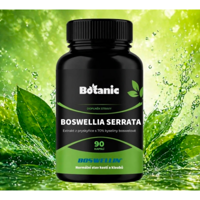 BOSWELLIA SERRATA - Extrakt z pryskyřice s 70% kyseliny...