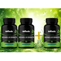 BOSWELLIA SERRATA 2+1 zdarma - Extrakt z pryskyřice s 70%...