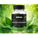 GARCINIE KAMBODŽSKÁ - Extrakt z plodů s 60% HCA 40 kps....