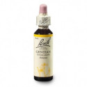 Gentian 20ml Bachovky č.12