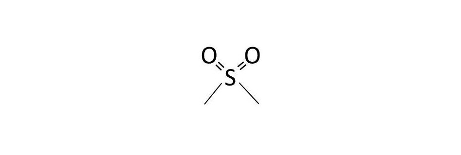 MSM - methylsulfonylmethan